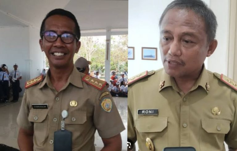 Darussalam : Roni Muktar Paham, Tergantung User Terkait Pengangkatan Sekda