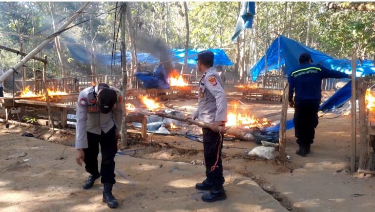 Polsek Lakudo Gerebek Judi Sabung Ayam